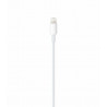 IssAcc-Kabel Lightning auf USB-C für Apple iPhone, 1 m, weiß, PN: 29072021c1