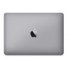 MacBook 12" Retina 2017, 8GB, 256GB SSD, Klasse A-, Grau, Refurbished, 12 Monate Garantie