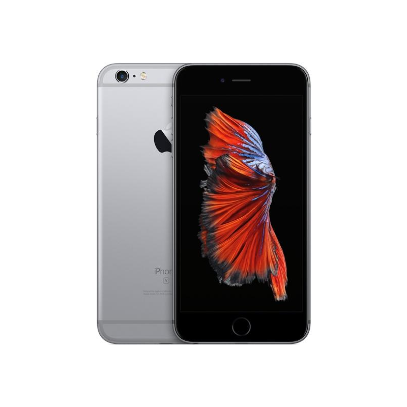 Apple iPhone 6s Plus 64GB Space Gray, class B, used, warranty 12 months, VAT cannot be deducted