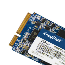 SSD 256GB mSATA XrayDisk