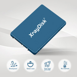 SSD 256GB XrayDisk